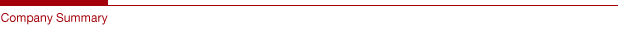 Company Summary