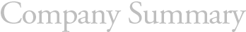Company Summary